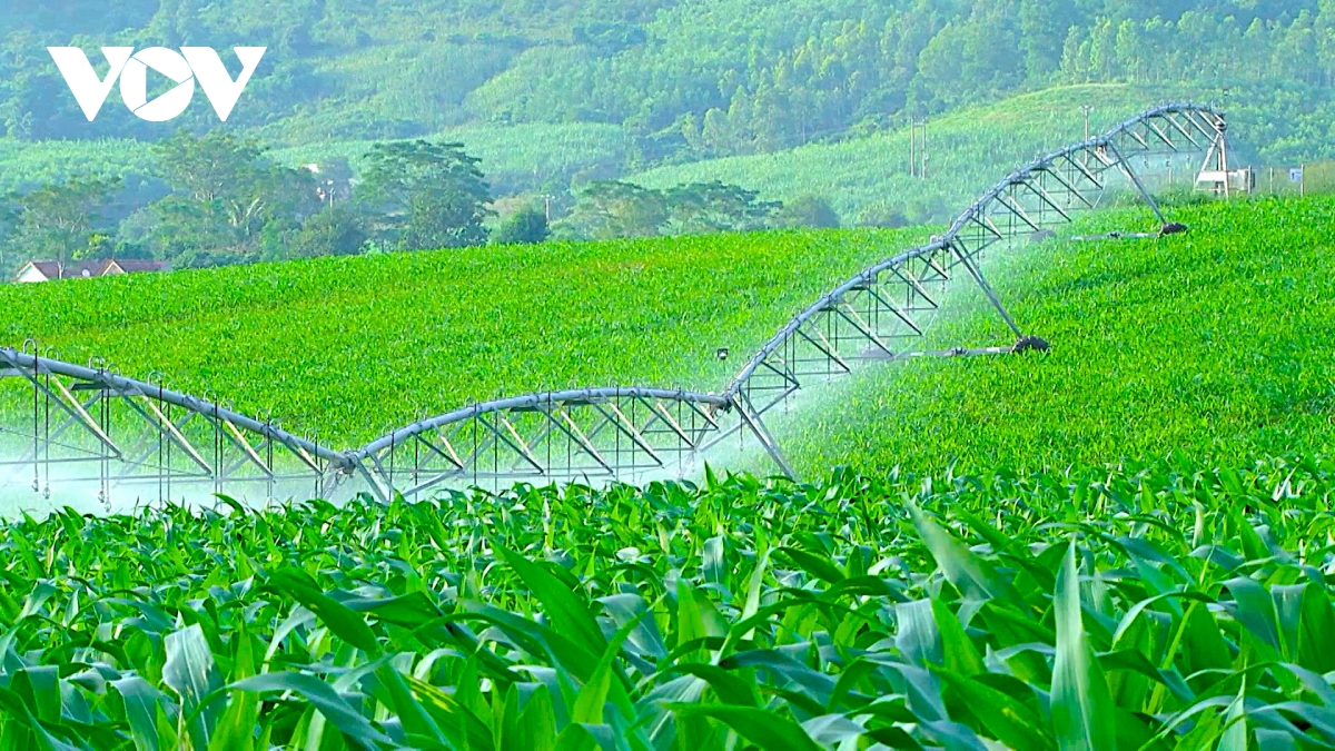 Vai trò kinh tế số trong lộ trình cơ cấu lại ngành nông nghiệp Nghệ An